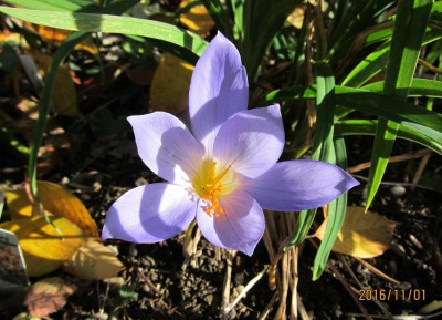 IMG_2659 small.jpg