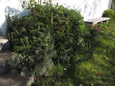 winterschutz1.img.JPG