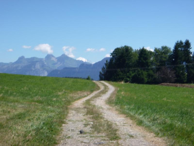 P1000423.JPG
