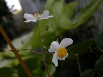 DSCN1723_1829.JPG