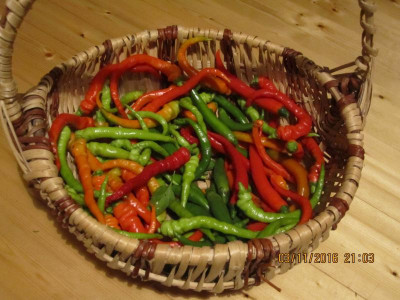 Paprika 2016 003.jpg