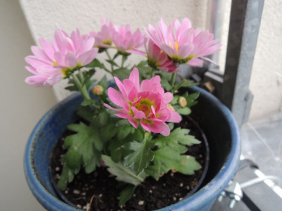 DSCN2317_1830.JPG