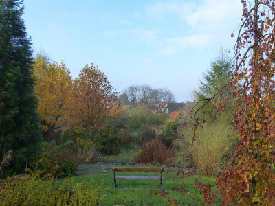 2016-11-06 Garteneinblick 2.jpg