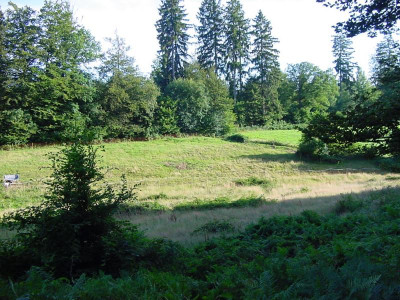 Kreuzwegwiesen22015.JPG