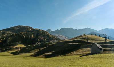 IMG_9398.jpg
