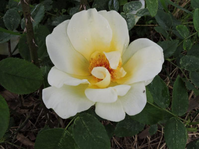DSCN4471.JPG