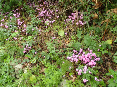 PA130338.JPG