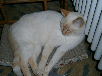 Pablos Wellness 001.JPG