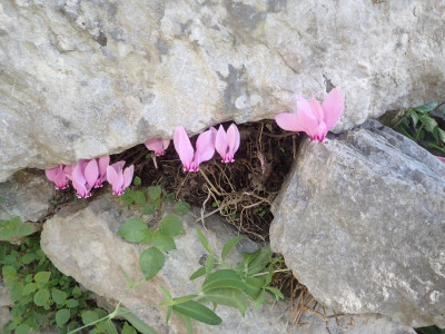 PA160566.JPG