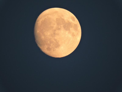 DSCN6135.JPG