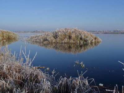 nov04.jpg
