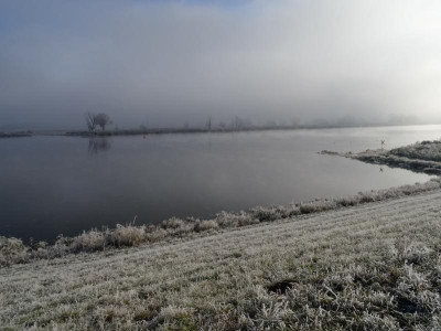 fog001.jpg