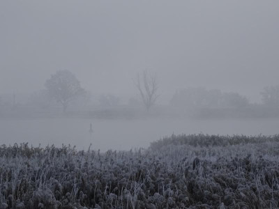 fog003.jpg