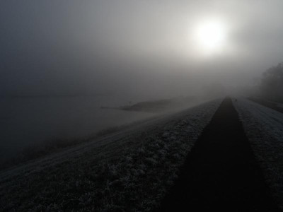 fog01.jpg