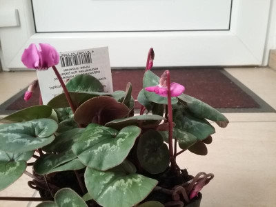 20161114_092615.jpg