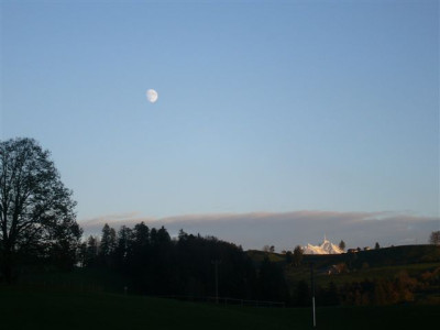 P1050344.JPG