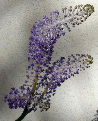 PB182415.JPG