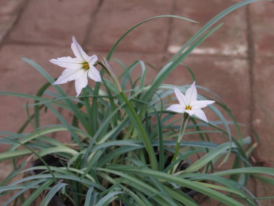 DSCF3527.JPG