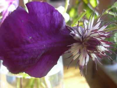 im_nov._06_027.jpg