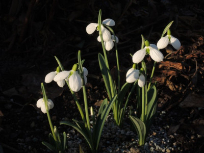 DSCN8845_1864.JPG
