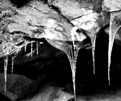EIS_FR_0311_I.jpg