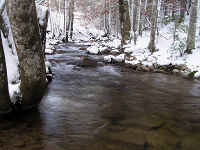 bach_im_fruehwinter.jpg