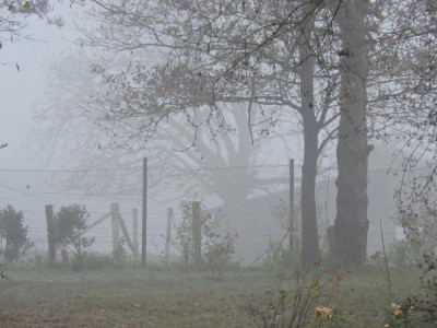 DSCN6157.JPG