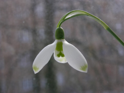 Bild 057_1866.JPG