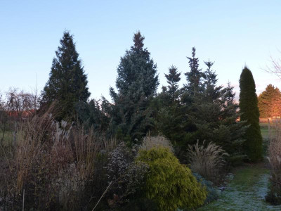 P1300206.JPG