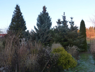 2016-11-28 Garteneinblick.jpg