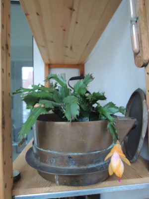 DSCN2352_1870.JPG