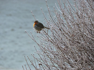 DSCN6188.JPG