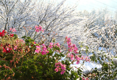 Wintereinbruch-11.jpg