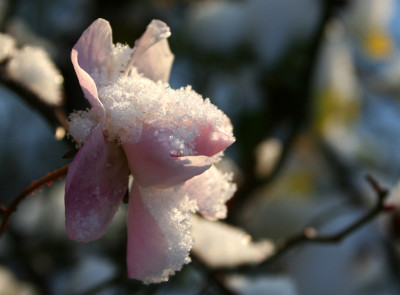 Wintereinbruch-10.jpg