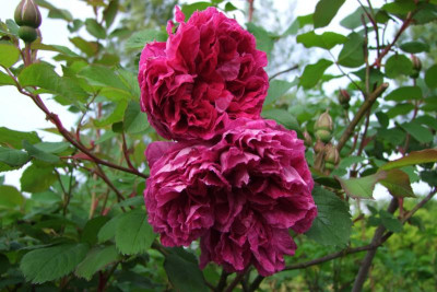 29.05.2016 20-03-32_0132.jpg