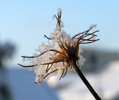 Wintereinbruch-6.jpg