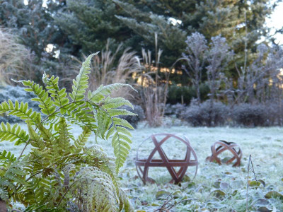 2016-12-03 Gartenimpressionen 8.jpg