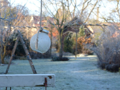 2016-12-03 Gartenimpressionen 12.jpg