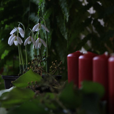 GidW - 2.Advent.jpg