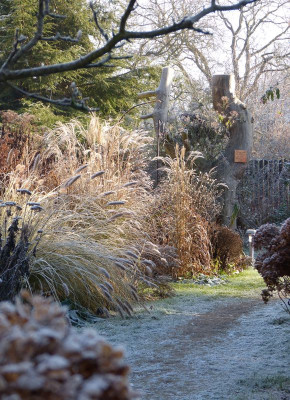 2016-12-04 Gartenimpressionen 1.jpg