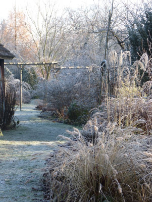 2016-12-04 Gartenimpressionen 5.jpg