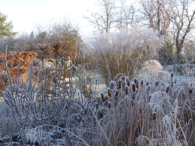2016-12-04 Gartenimpressionen 10.jpg