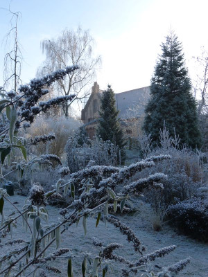 2016-12-04 Gartenimpressionen 11.jpg
