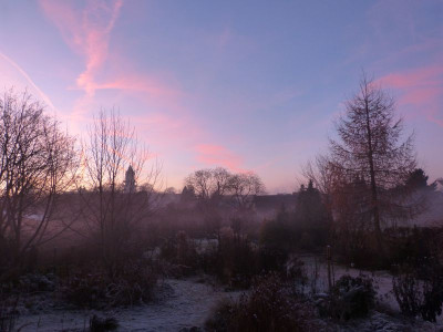2016-12-04 Gartenimpressionen 13.jpg
