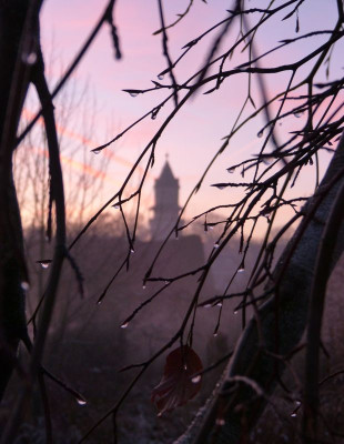 2016-12-04 Gartenimpressionen 15.jpg