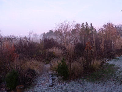 2016-12-04 Garteneinblick 2.jpg