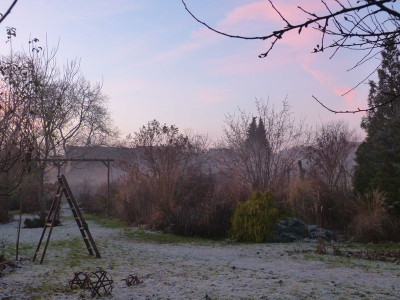 2016-12-04 Garteneinblick 3.jpg