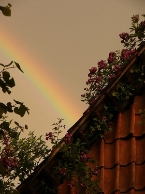 Forumstreffen_unter_Veilchenblau_und_Regenbogen.jpg