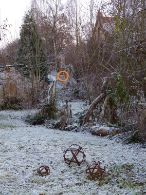 2016-12-05 Garteneinblick 1.jpg