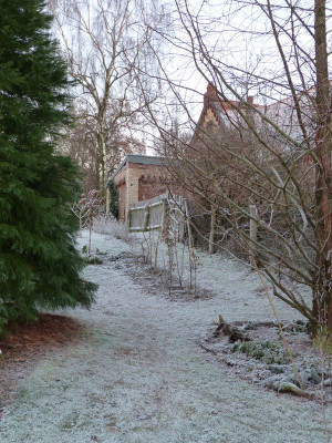 2016-12-05 Garteneinblick 2.jpg